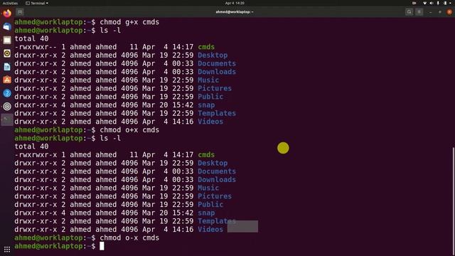 OS Lab 1 - Shell scripts & Chmod смотреть онлайн