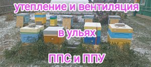 Утепление и вентиляция ППС и ППУ улья.