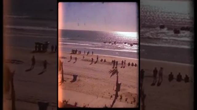 Navy seals training exercise смотреть онлайн
