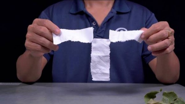 7 EASY SCIENCE EXPERIMENTS USING TOILET PAPER!