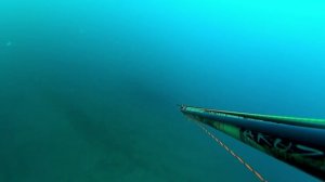 Подводная охота на Чёрном море, август 2015