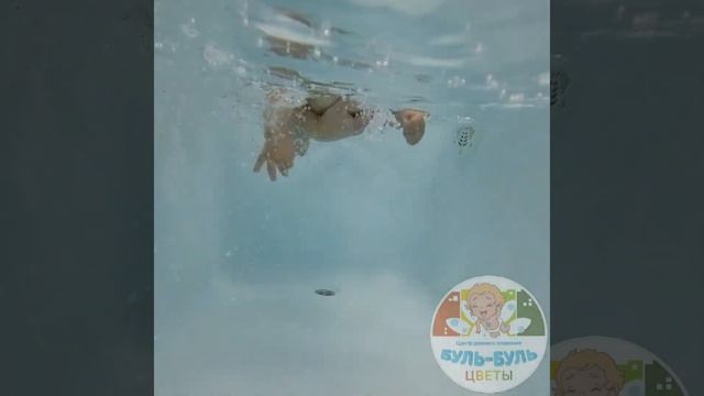 Грудничковое плавание Нижний Новгород смотреть онлайн
