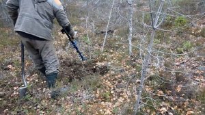 Металлокоп в лесу.Эта находка подняла настроение))Нашли лесного трудягу))
