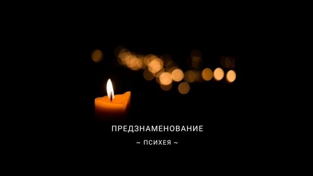 СТИХ О СУТИ. смотреть онлайн