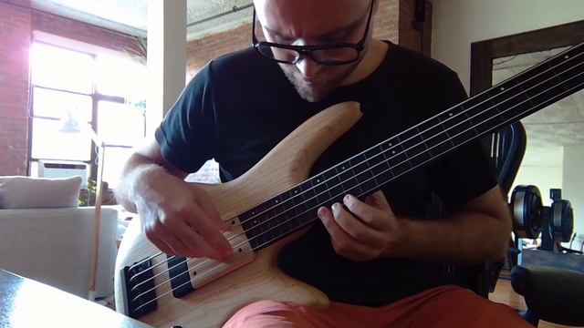 Norwegian Woods by Gary Willis on Ibanez GW1005 смотреть онлайн