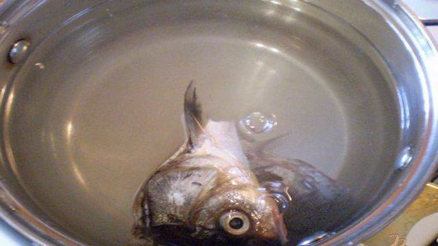 Рецепты от шеф-повара