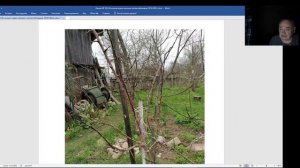 Железов Валерий. Вебинар 183. Абрикосы на сливах.mp4