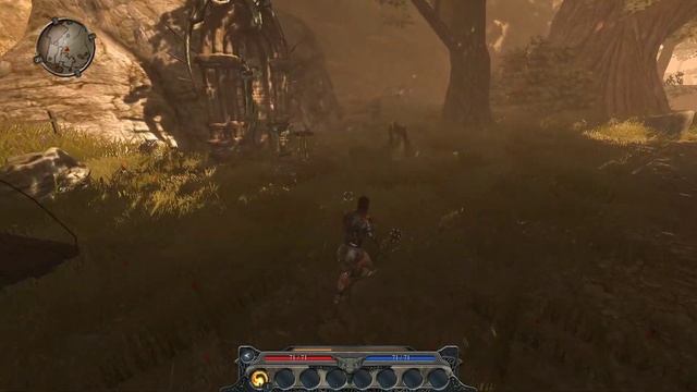 Divinity 2 Developers cut ( серия 1 - Светлое и Осколье . Начало ) смотреть онлайн
