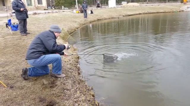 Дружеские соревнования по ловле форели спиннингом 22.04.17 смотреть онлайн
