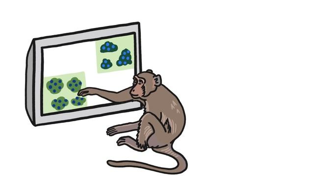 How We Evolved To Browse The Web смотреть онлайн