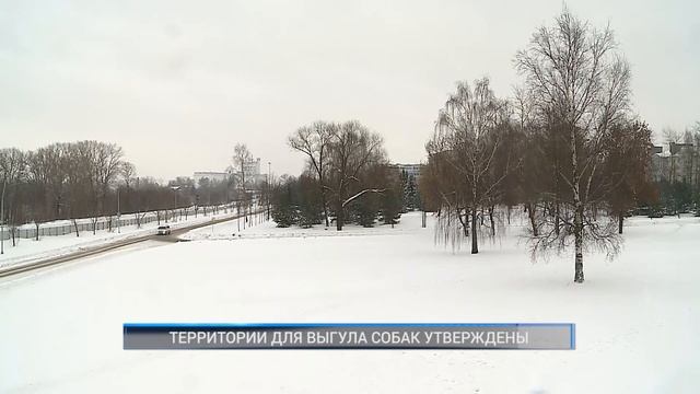 ТЕРРИТОРИИ ДЛЯ ВЫГУЛА СОБАК УТВЕРЖДЕНЫ смотреть онлайн
