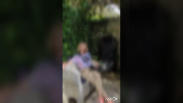 Болгария. Золотые пески. Балчик и мыс Калиакра. смотреть онлайн