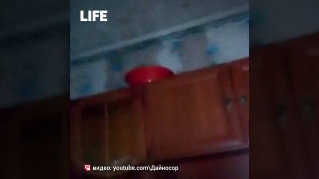 потоп Благовещенска 16.07.2019 смотреть онлайн