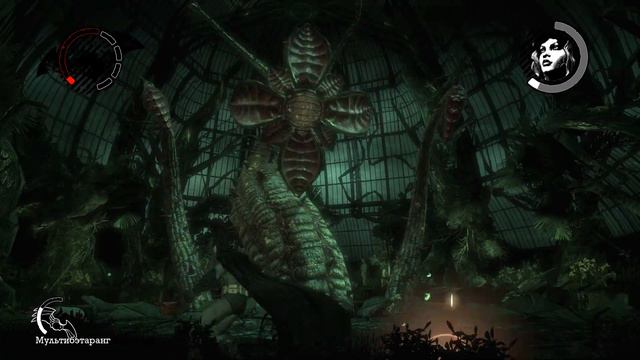 Batman Arkham Asylum GOTY Edition (#16)-ЯДОВИТЫЙ ПЛЮЩ