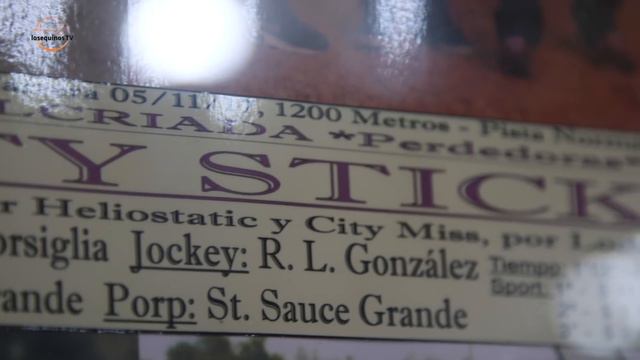 Capitulo 7 losequinostv | Centro de entrenamiento de Caballos Sangre Pura de Carrera Sauce Grande смотреть онлайн