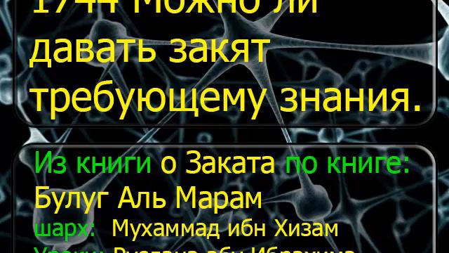 1744 Можно ли давать закят требующему знания смотреть онлайн