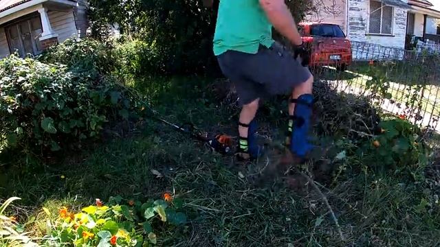 This yard needs to be seen to be believed HUGE yard clean up Part 1 смотреть онлайн