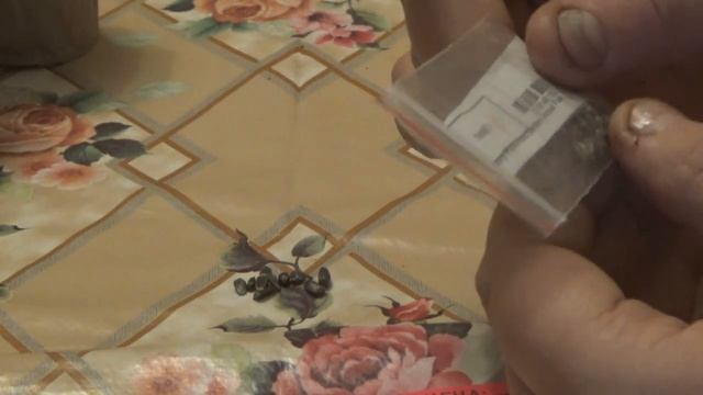 Подсолнух Медвежонок Тэдди. Свой или чужой? смотреть онлайн