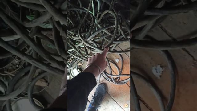 четырёх жильный медный кабель. смотреть онлайн