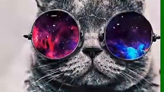 Песня мало так мало смотреть онлайн