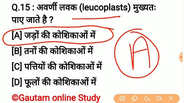RRB NTPC GK/GA Model Paper 2019 Part-1| RRB Railway GS NTPC Previous Paper 2019 | смотреть онлайн