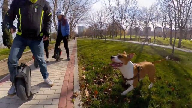 Ninebot Z10 -Nice day 25 of December of 2018 смотреть онлайн