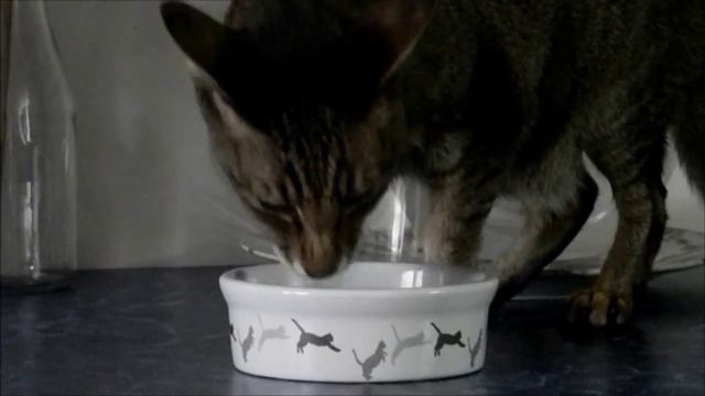 Как сделать онигири? |How To Make Onigiri?| ☺