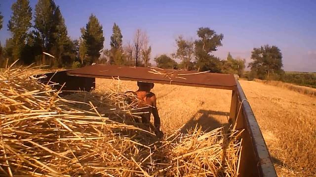 уборка ячменя и перевозка соломы большая поломка жатки ск 6 колос зил зила 431410 газ 69 2019 смотреть онлайн