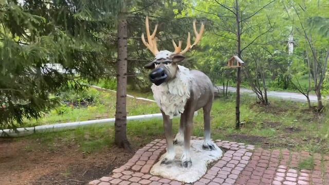 Санаторий Карагайский бор-замечательное место для отдыха смотреть онлайн