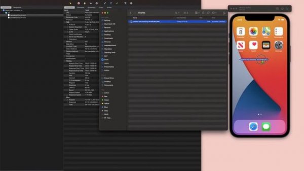 Charles Proxy + iOS simulator: connect them by installing the Charles Certificate