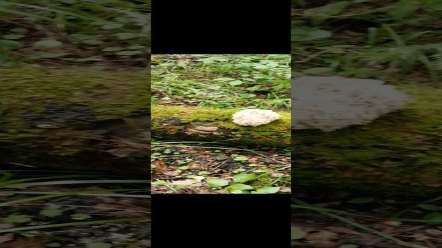 Хочу всё знать!!!