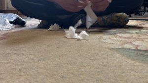 Вертикальный пылесос DEERMA DX115C - распаковка и обзор, краткие характеристики и отзыв