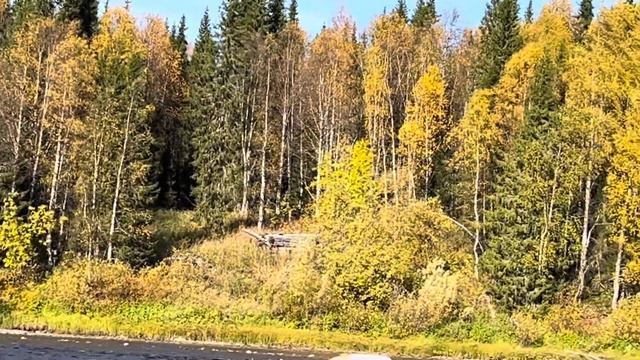 Окончание водного похода по Приполярному Уралу/ реки Сыня Войвож Вангыр Седью и гора Сабля 2023 год смотреть онлайн