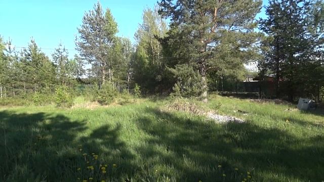 СНТ АИСТ смотреть онлайн