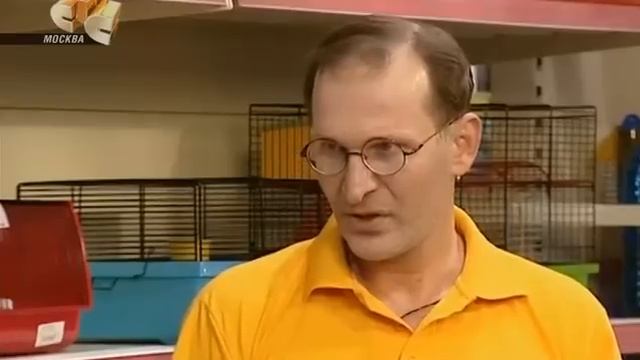 6 кадров. Собачка смотреть онлайн