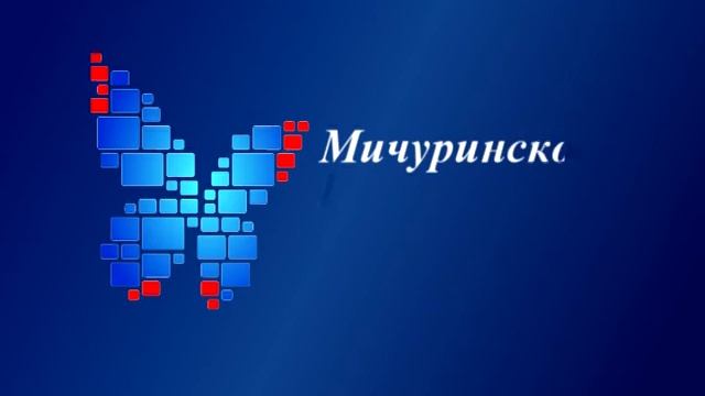 Мичуринское цифровое эфирное ТВ смотреть онлайн