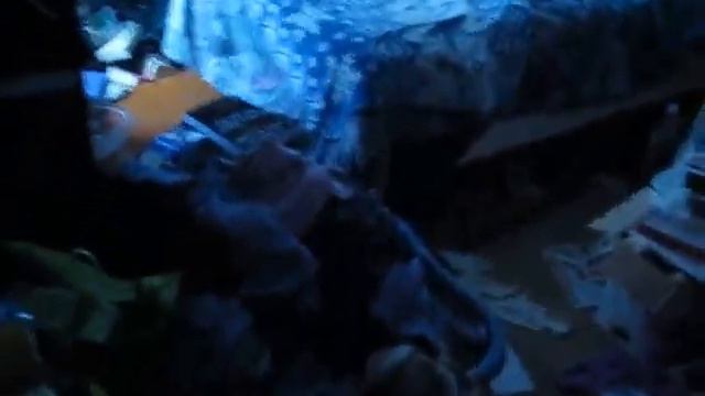 2010г. Первый раз в Америке - Шок от того как живут обычные Американцы смотреть онлайн