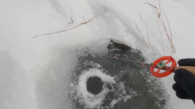 Первый лёд 2022-23! НА ГЛУБИНЕ 50 см КЛЮЁТ КРУПНЯК! Эффективная рыбалка в Ноябре смотреть онлайн