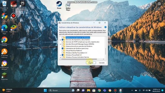 Como solucionar el error "configuración de Windows incompatible en bluestacks смотреть онлайн