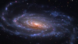 музыка "Infinity" - муз. Игоря Шишкина (соч. 1981 г. аранж. 2024 г.)