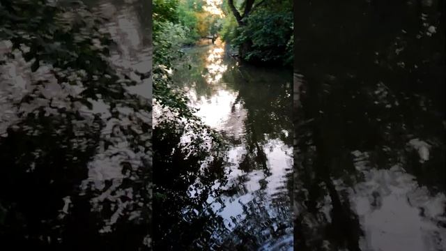 Кормление нутрий на природе смотреть онлайн