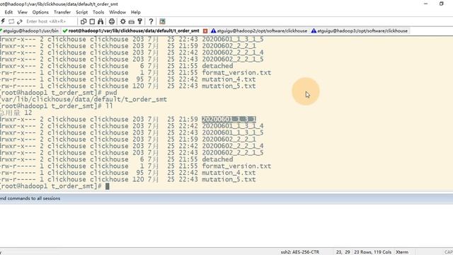 17 ClickHouse入门 SQL操作 Update和Delete смотреть онлайн