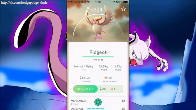 Hodgepodgeude гоняет по провинции играя Pokemon Go смотреть онлайн