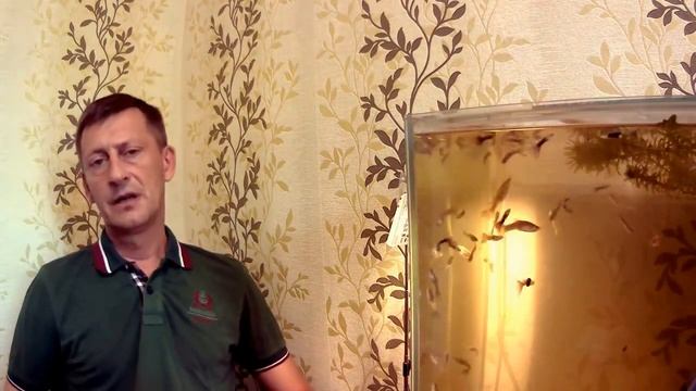 ДОКТОРУ ЗВОНИТ ПАЦИЕНТ - Анекдот - Новые Анекдоты Лучшие Приколы - Доктору звонит пациент смотреть онлайн