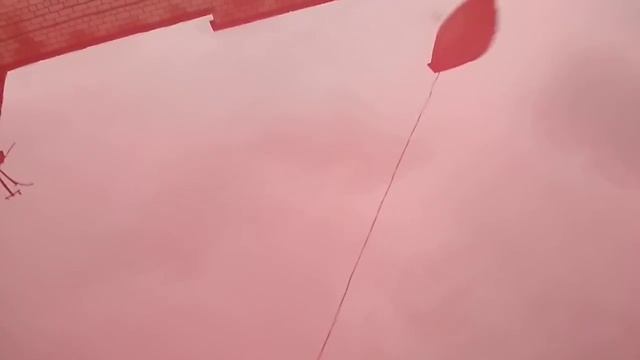 Октавия после полировки смотреть онлайн