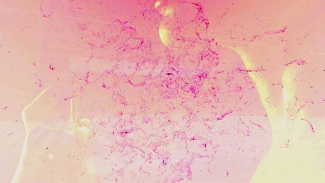 Jeremy Fragrance  - How To Fragrance Lyric Video