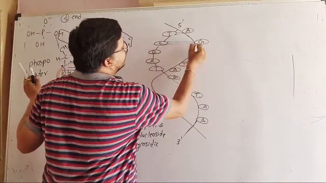 DNA Part 2 English Medium смотреть онлайн