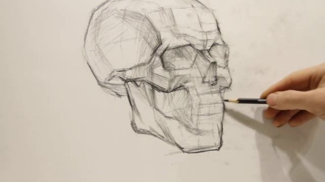 Построение черепа. Завершение смотреть онлайн