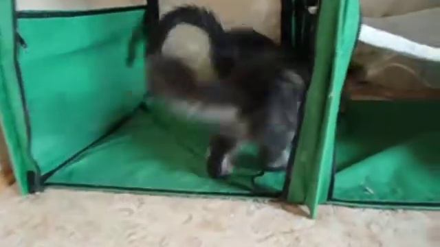 MOV08895 смотреть онлайн