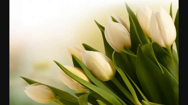 F.  Chopin - Nocturne For Piano And Violin